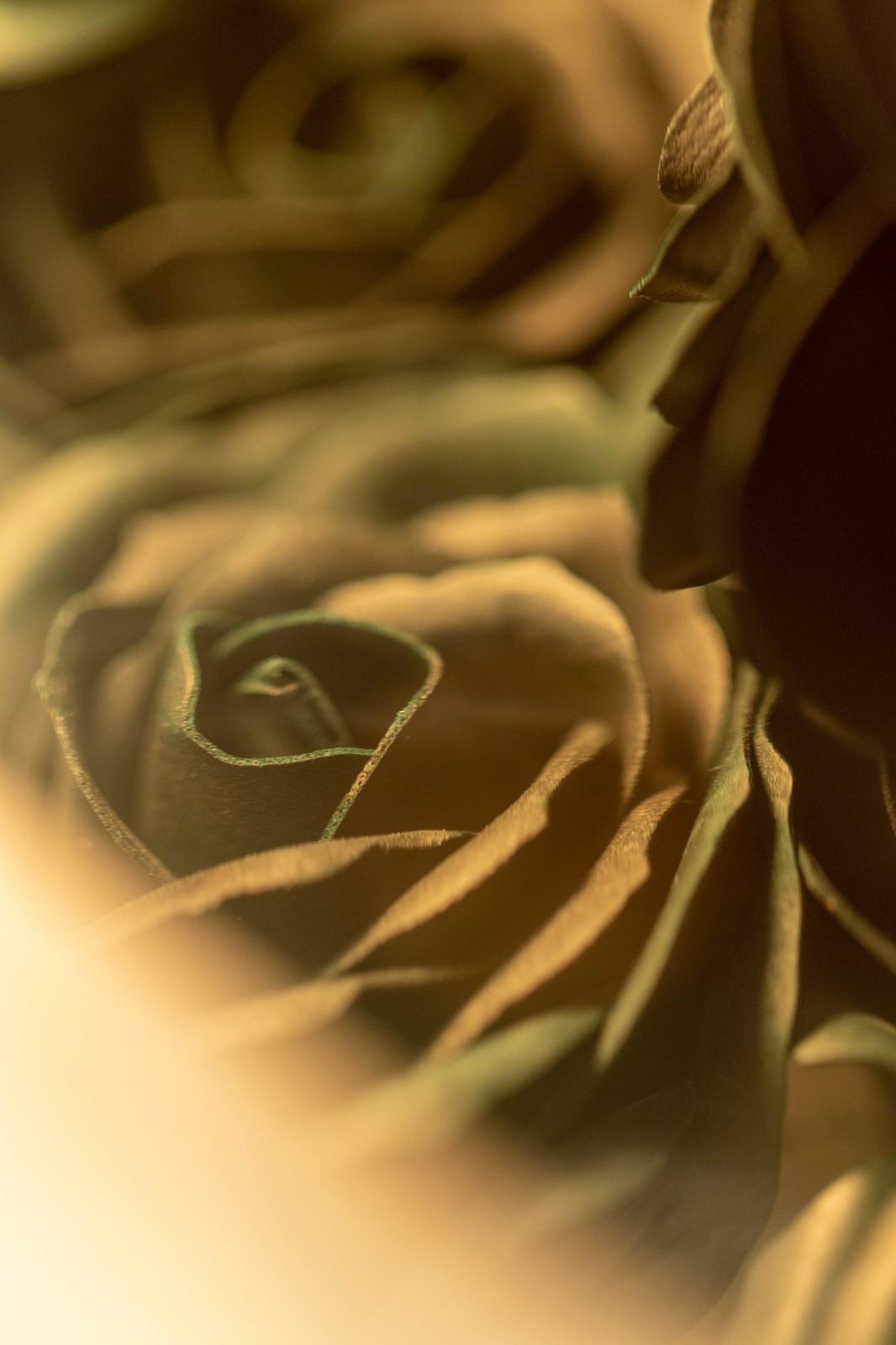 WhatsApp Image 2022-07-05 at 5.52.28 PM (1).jpeg